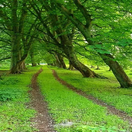 Apartment Modernes In Mit Garten Kuehlungsborn