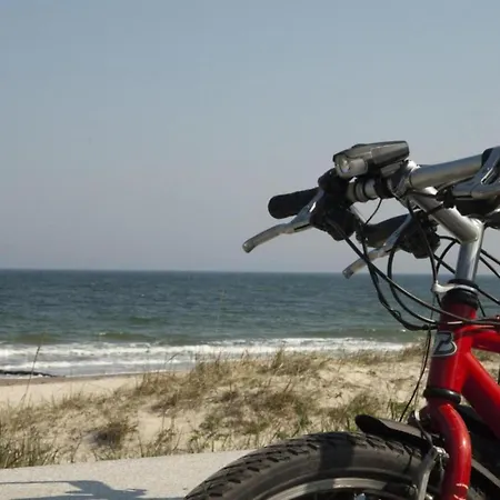 Modernes In Mit Garten