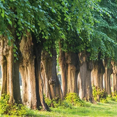 Modernes In Mit Garten Kuehlungsborn