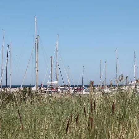 Modernes In Mit Garten *